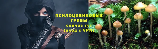 2c-b Липки