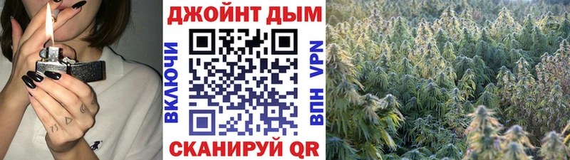 Бошки Шишки гибрид Ленинск-Кузнецкий